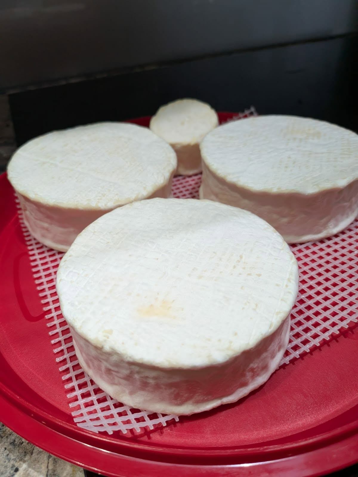Camembert cheese, photo 4