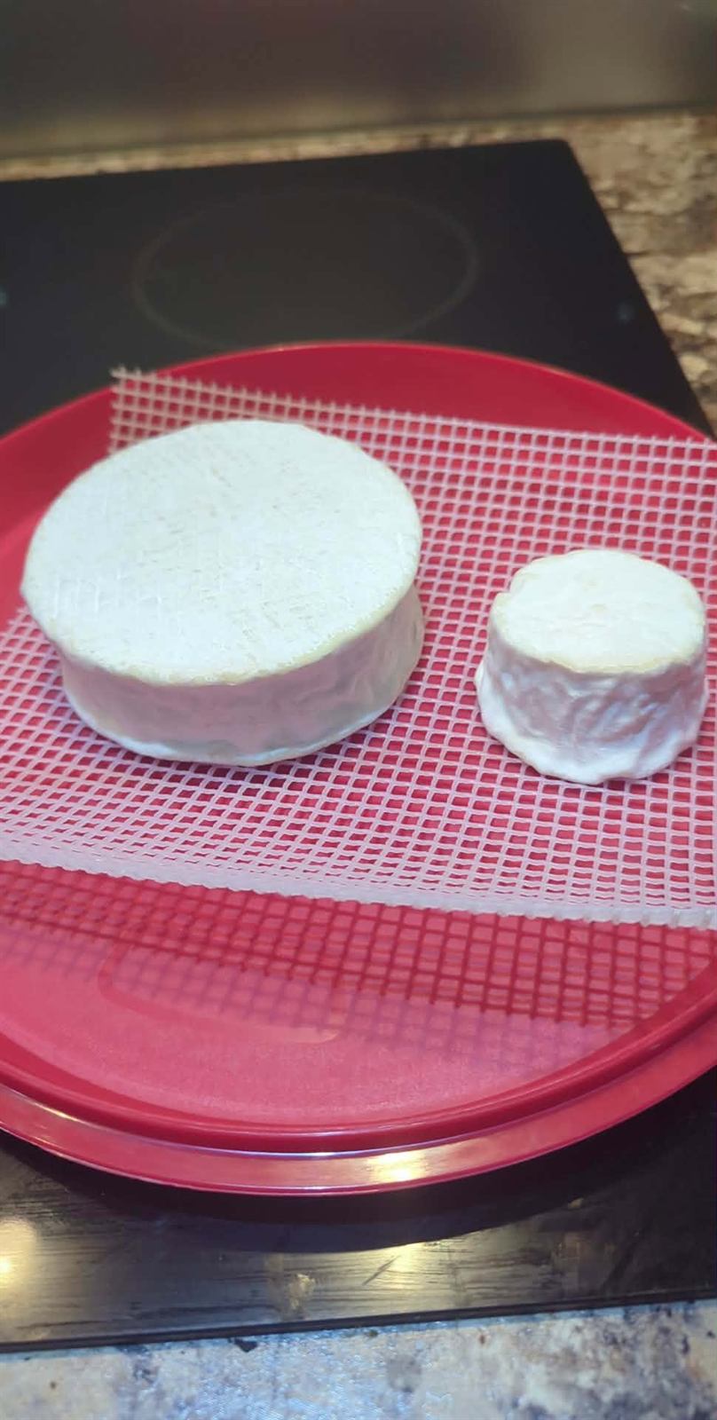Camembert cheese, photo 5