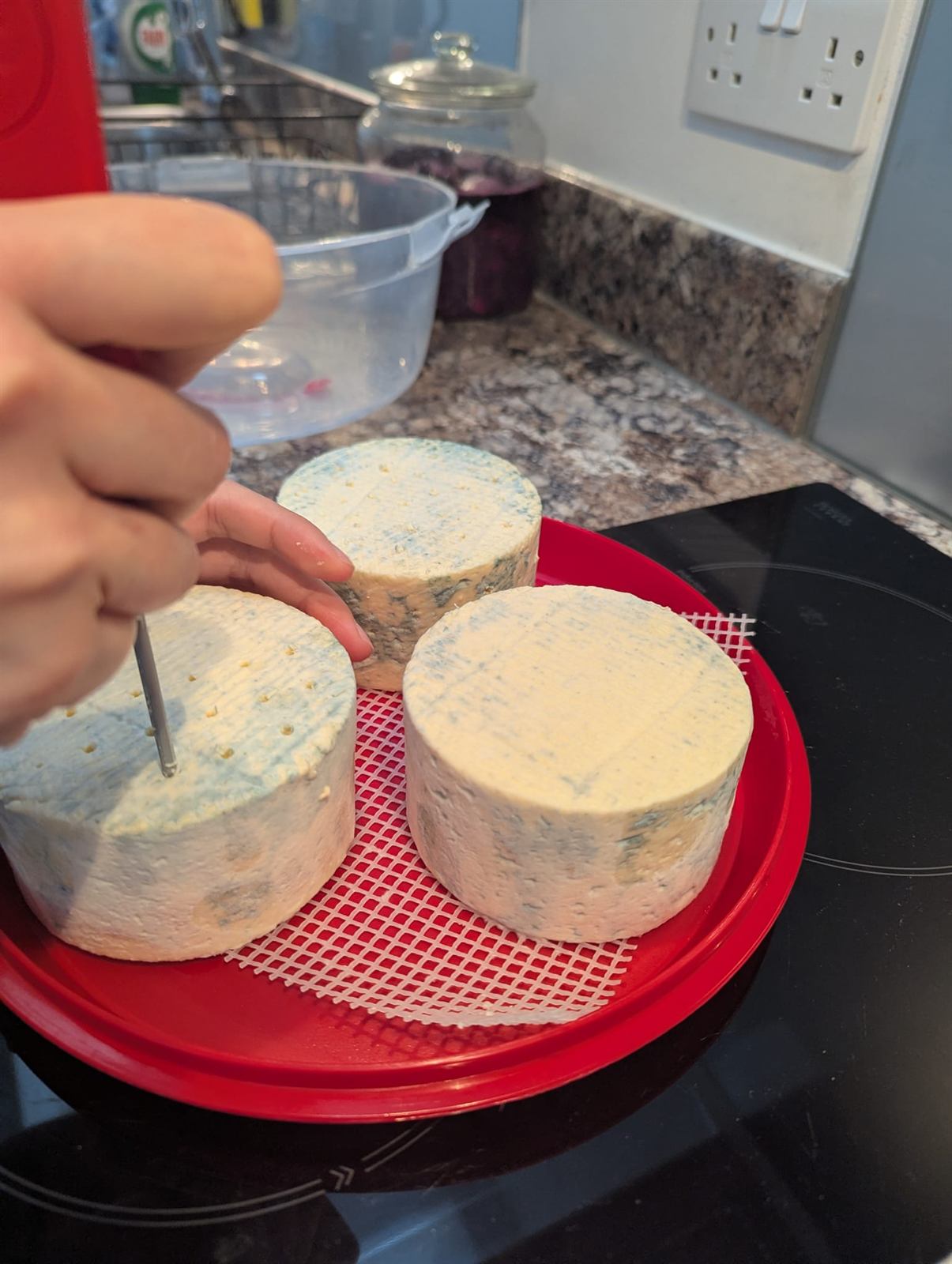 Castle Blue cheese, photo 5