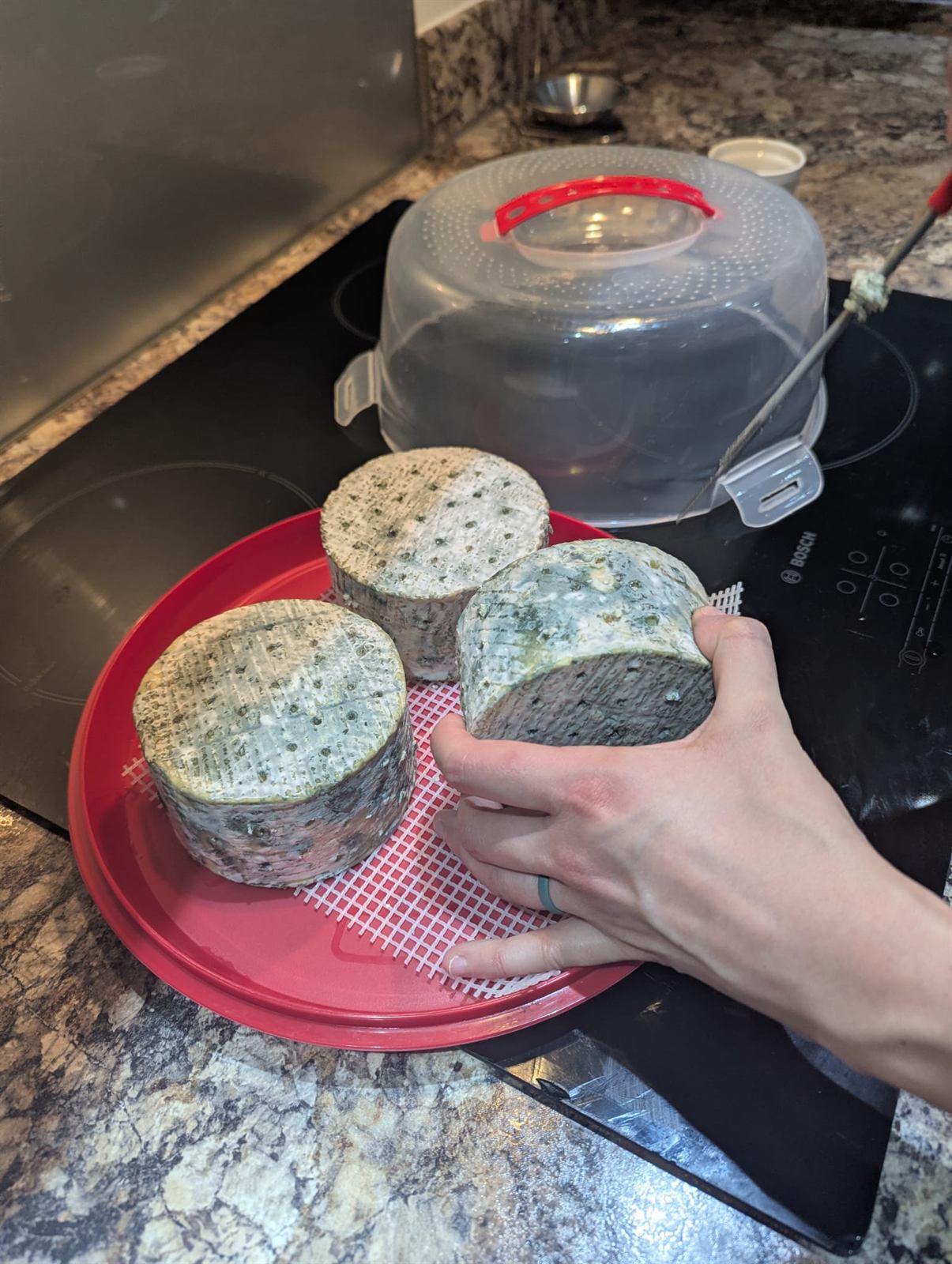 Castle Blue cheese, photo 6