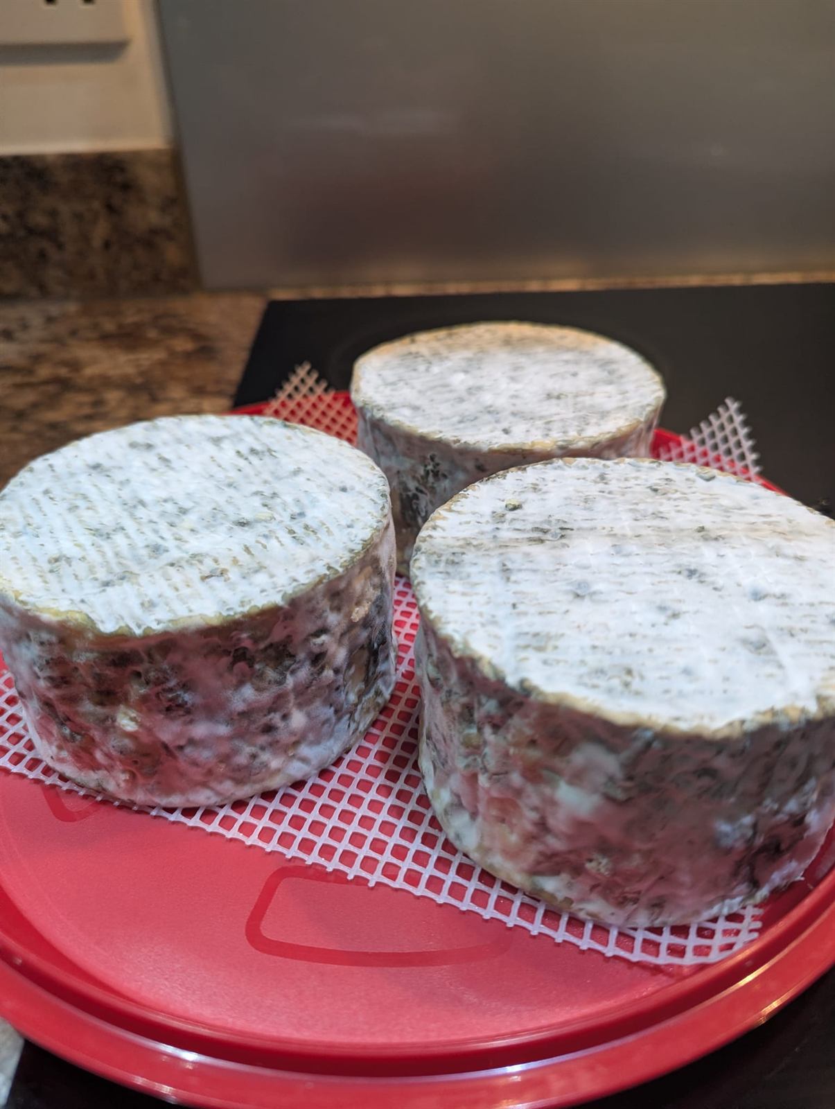 Castle Blue cheese, photo 7