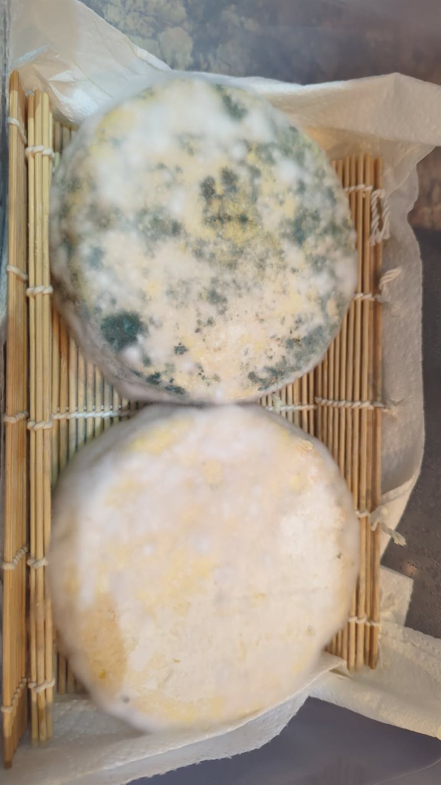 Tomme cheese, photo 1