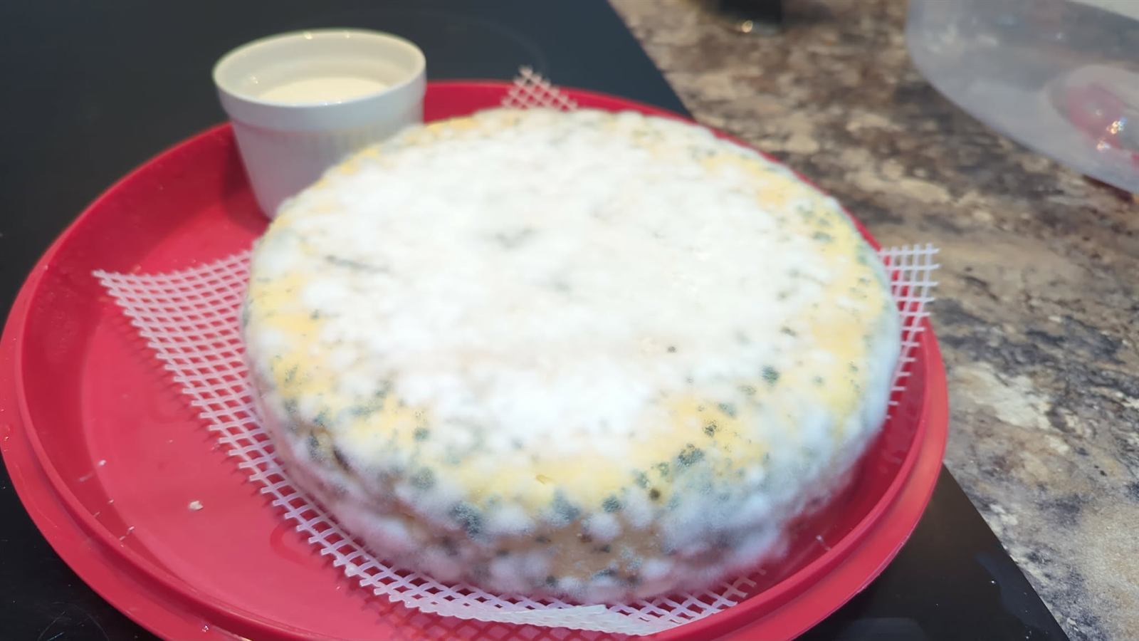 Tomme cheese, photo 2