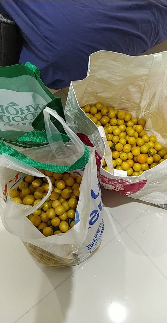 Plum wine, photo 2