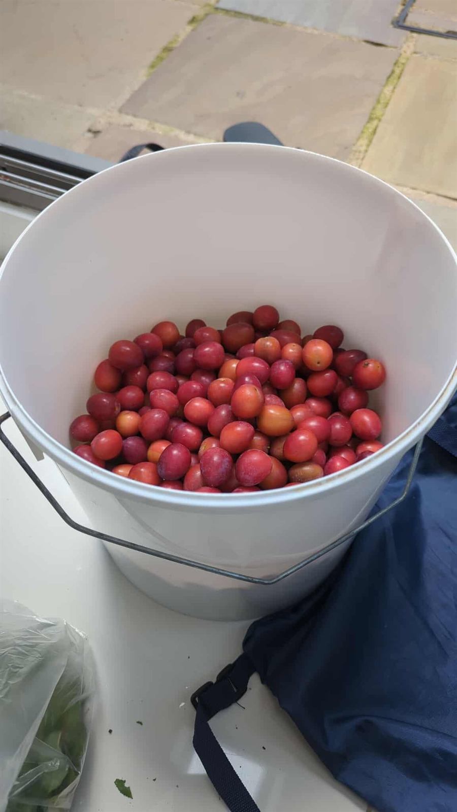 Plum wine, photo 3